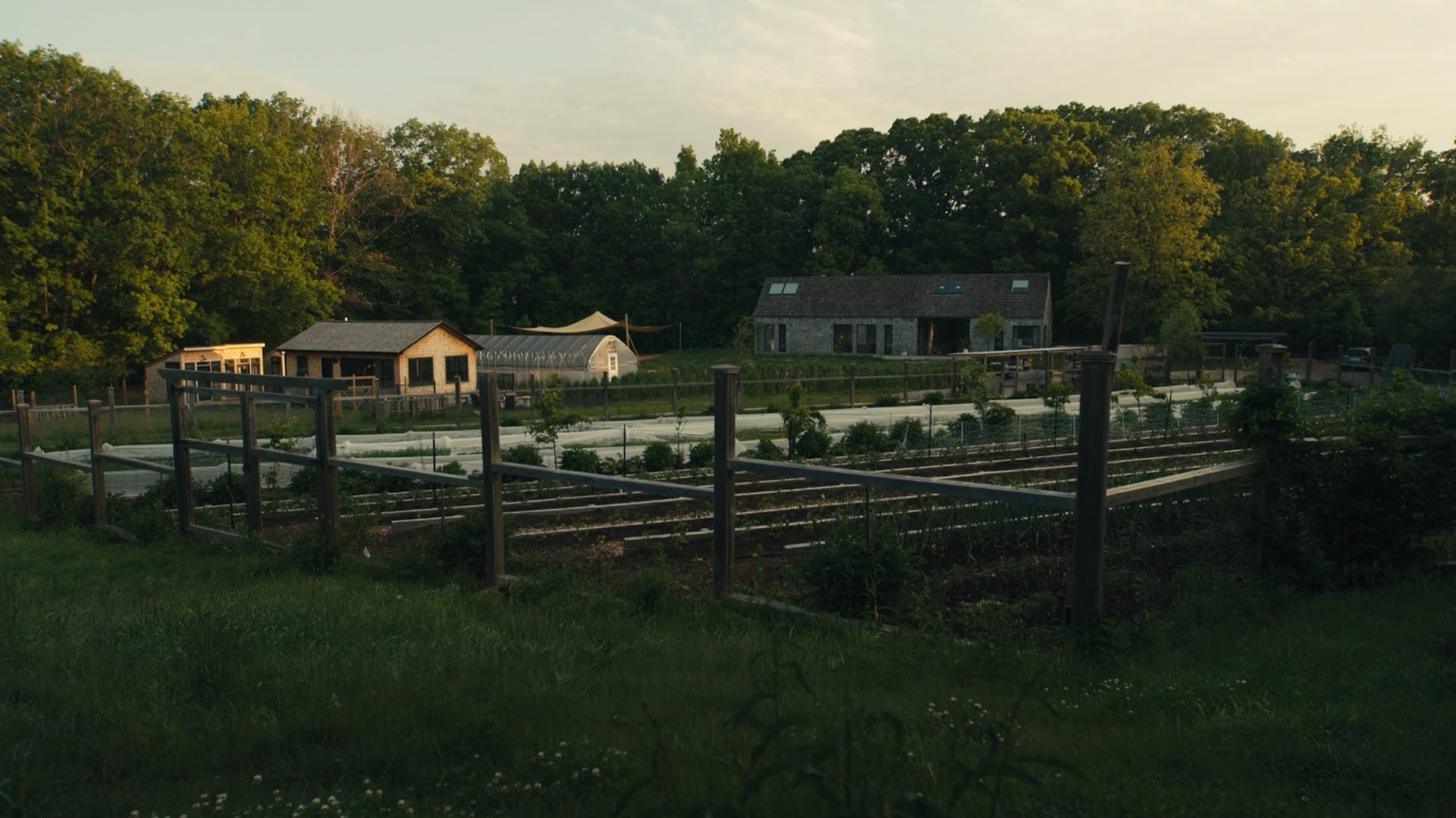 FARE still 6